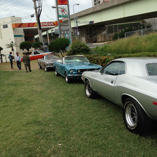 mustang