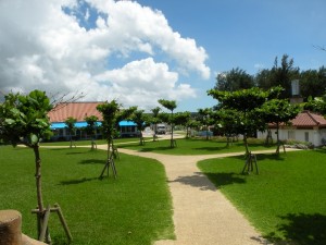 DSCN1471