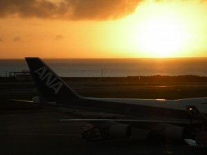 DSCN1481