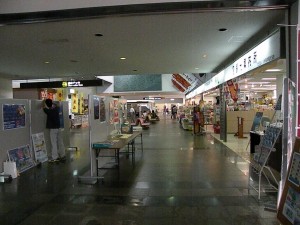 DSCN1881