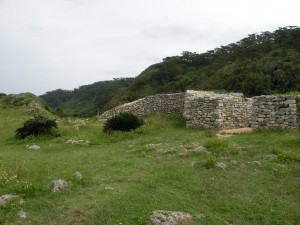 DSCN1960