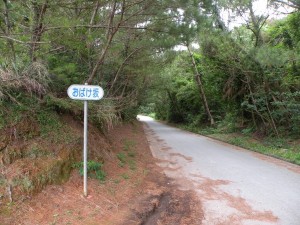 DSCN1971