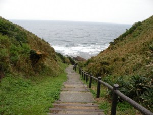 DSCN1973