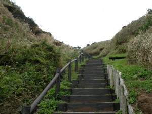 DSCN1978