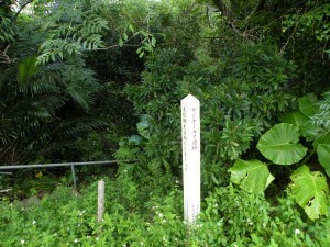 DSCN2055