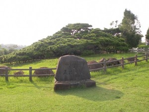 DSCN2147