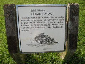 DSCN2150