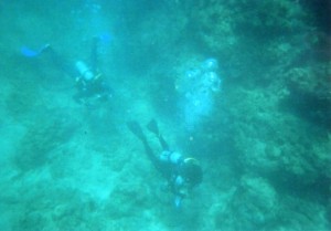 img019