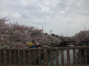 DVC00047